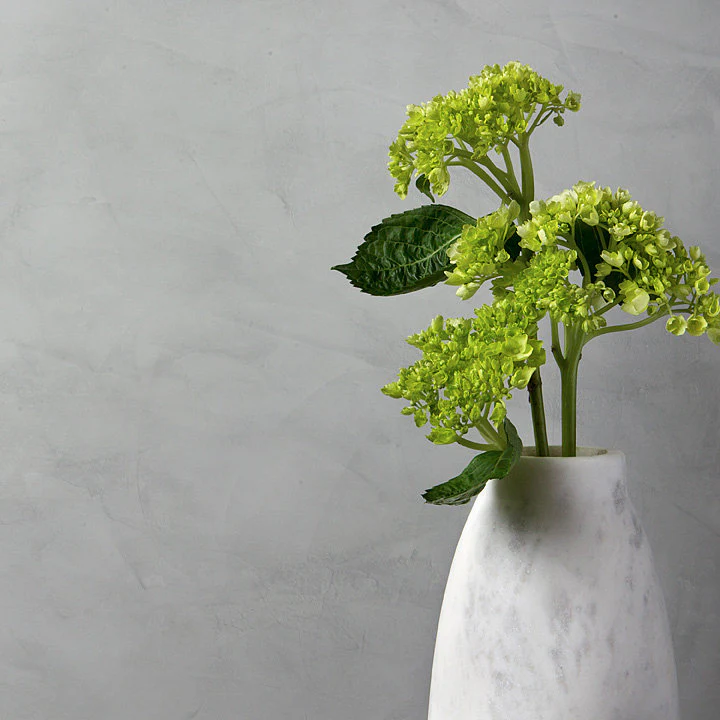 أسئلة شائعة عن اللياسة