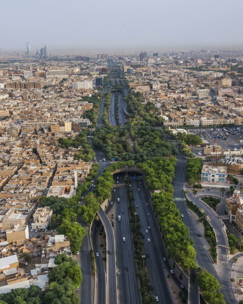 مبادرة السعودية الخضراء