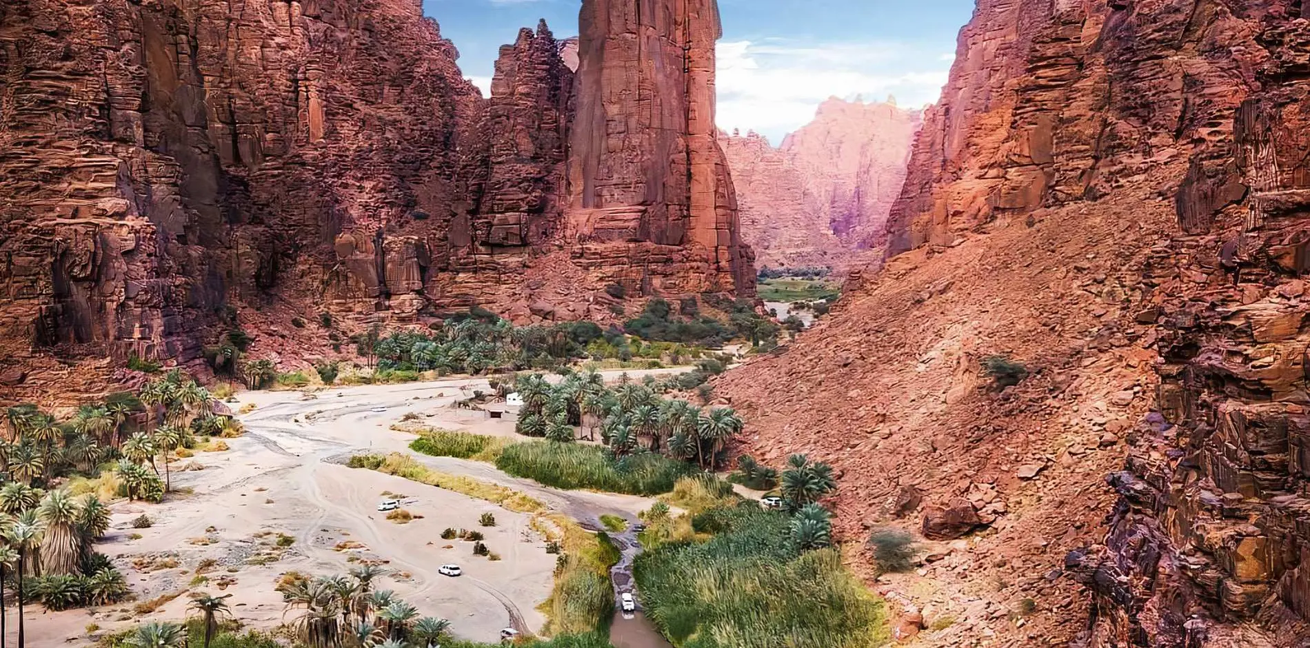 البيئة في السعودية